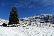 ALBEN-CIMA CROCE da Cornalba il 18 gennaio 2019- FOTOGALLERY